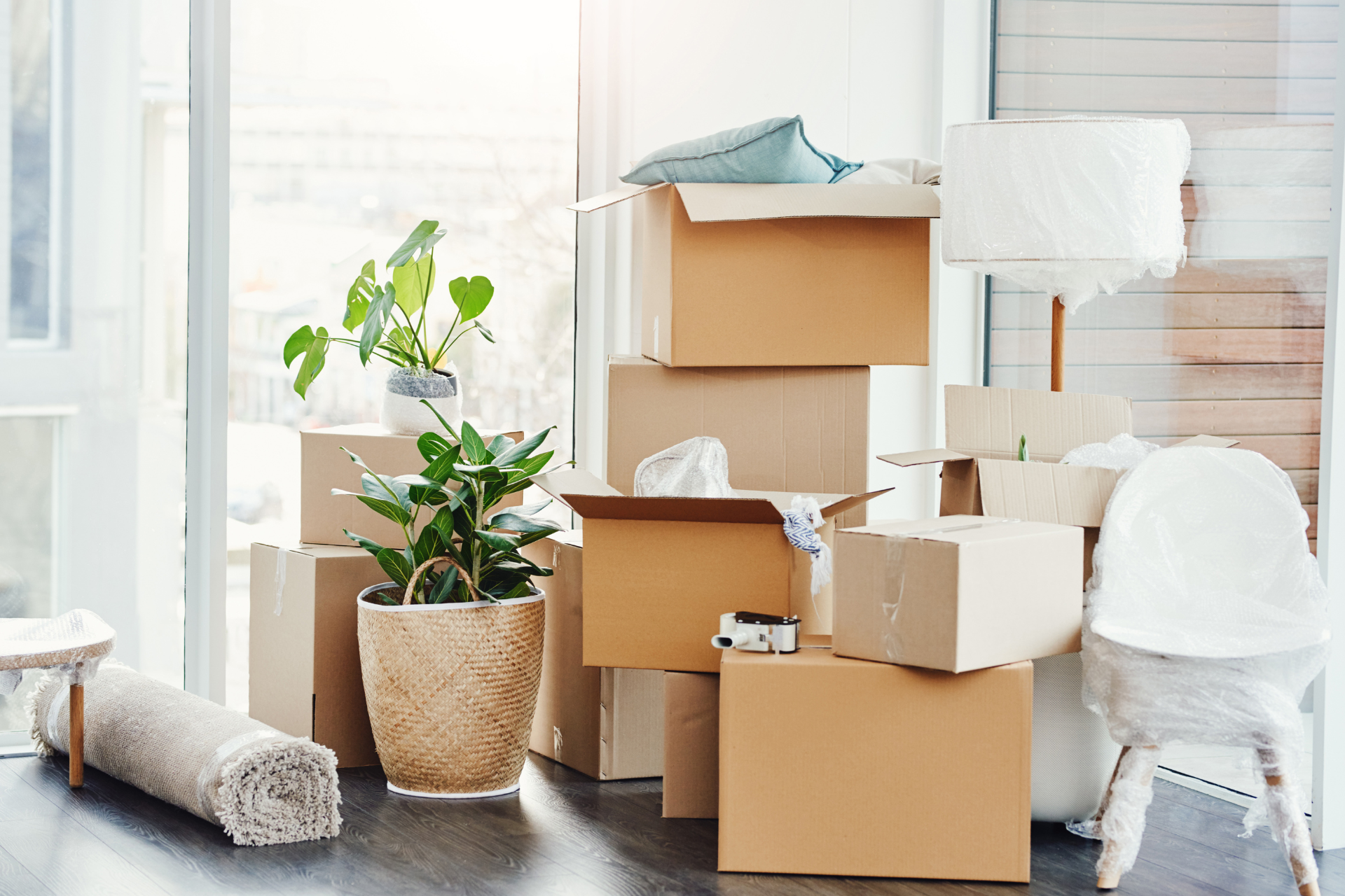 Local Moving in Palm Beach Gardens